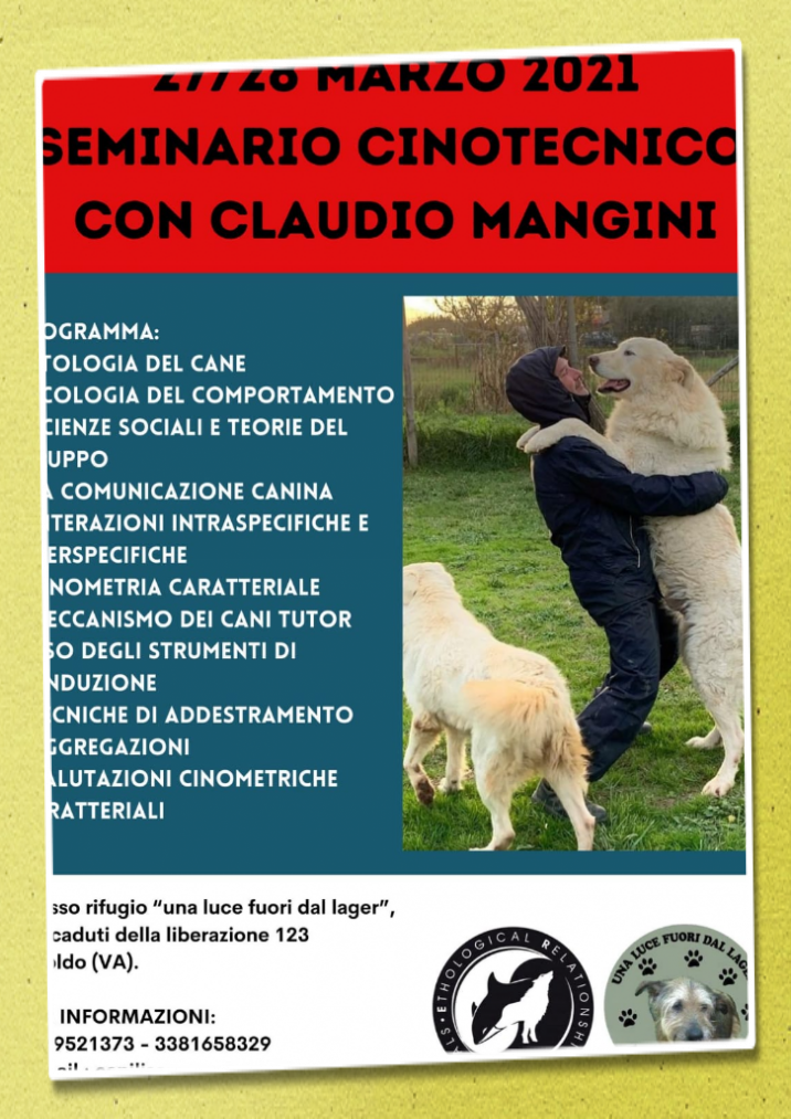 CANILI DI SARONNO CANILI DI SARONNO